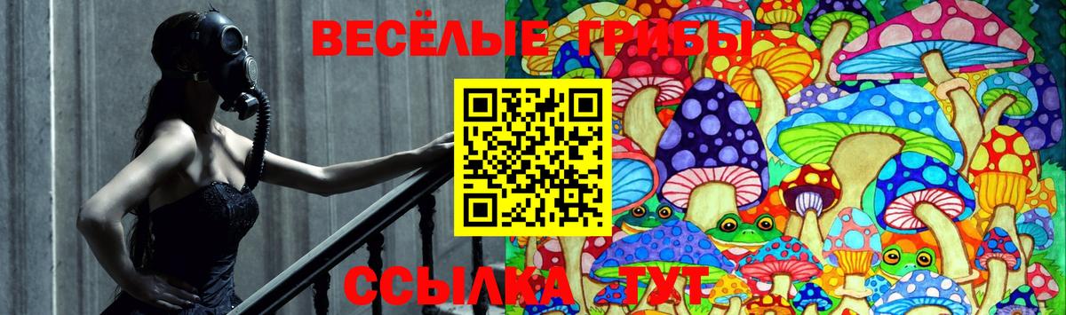 Нурлат  Псилоцибиновые грибы ЛСД  Вход с VPN  Псилоцибиновые грибы мухоморы 
