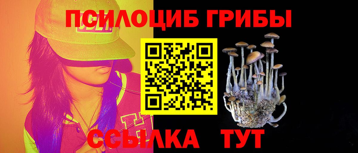 Псилоцибиновые грибы GOLDEN TEACHER Нурлат