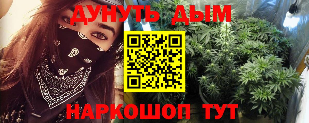 Канабис семена Нурлат